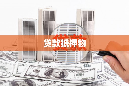 双河贷款抵押物