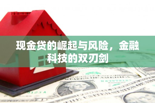 双河现金贷的崛起与风险，金融科技的双刃剑