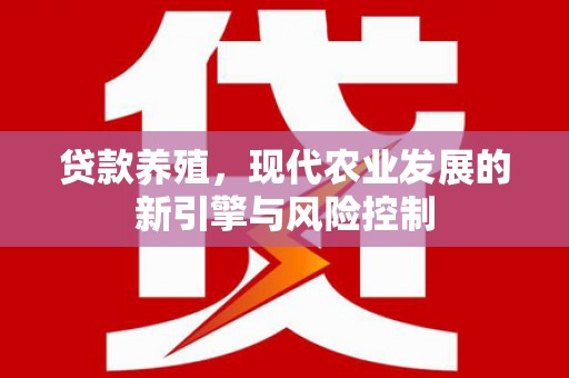 双河贷款养殖，现代农业发展的新引擎与风险控制