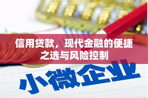 双河信用贷款，现代金融的便捷之选与风险控制