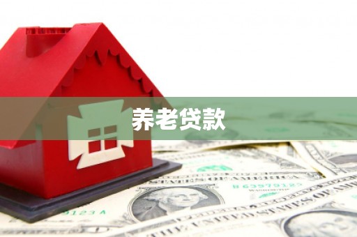 双河养老贷款