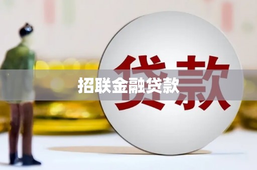 双河招联金融贷款