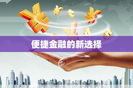 双河便捷金融的新选择