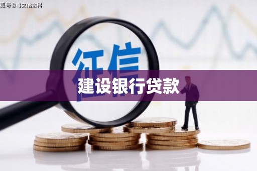 双河建设银行贷款