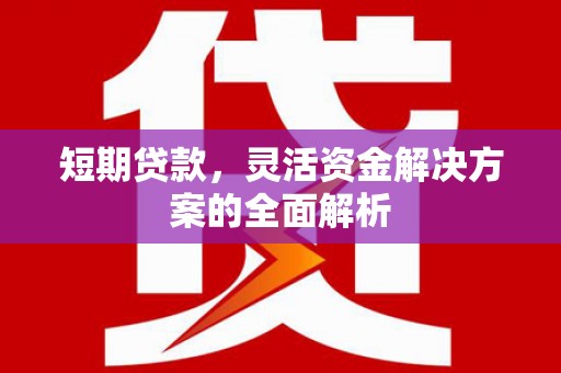 双河短期贷款，灵活资金解决方案的全面解析