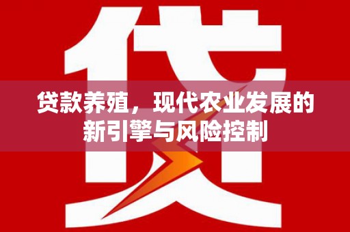 双河贷款养殖，现代农业发展的新引擎与风险控制
