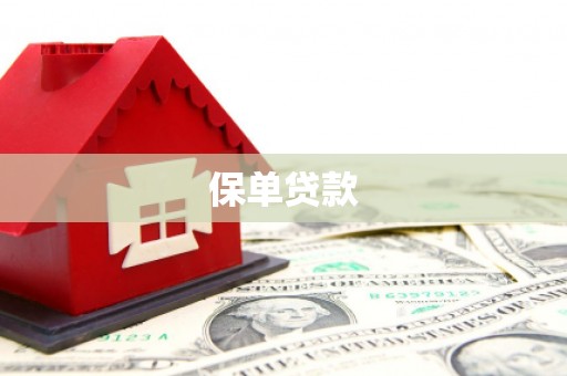 双河保单贷款