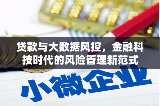 双河贷款与大数据风控，金融科技时代的风险管理新范式