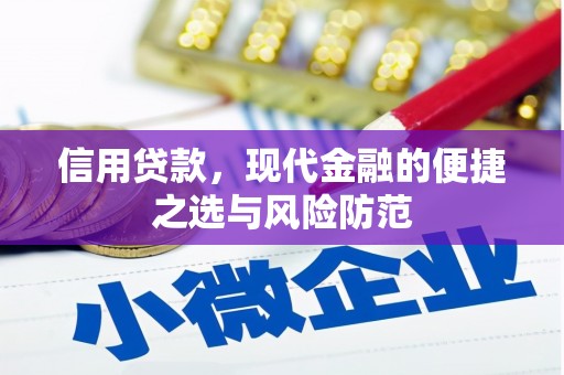 双河信用贷款，现代金融的便捷之选与风险防范