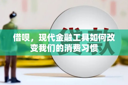 双河借呗，现代金融工具如何改变我们的消费习惯