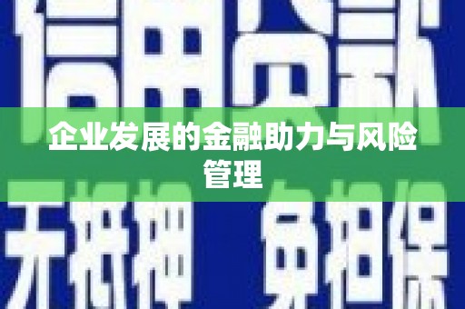 双河企业发展的金融助力与风险管理