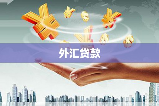 双河外汇贷款