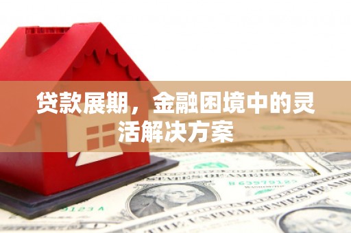 双河贷款展期，金融困境中的灵活解决方案