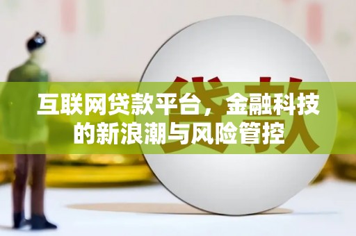 双河互联网贷款平台，金融科技的新浪潮与风险管控