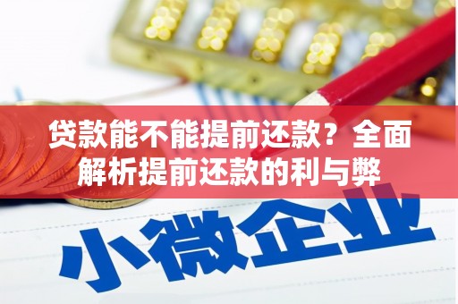 双河贷款能不能提前还款？全面解析提前还款的利与弊