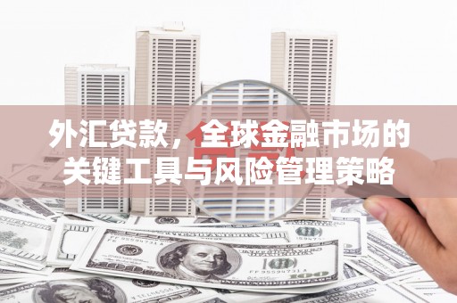 双河外汇贷款，全球金融市场的关键工具与风险管理策略
