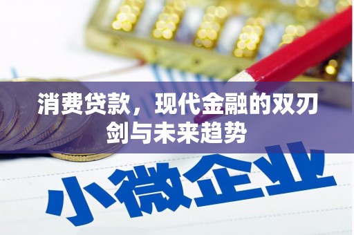 双河消费贷款，现代金融的双刃剑与未来趋势