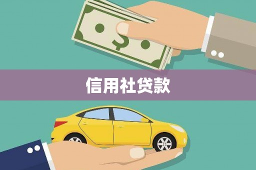 双河信用社贷款
