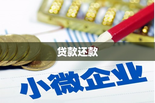 双河贷款还款