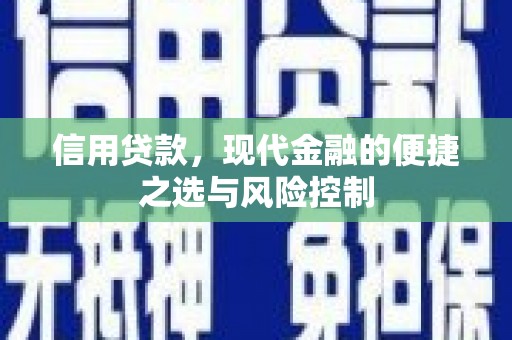 双河信用贷款，现代金融的便捷之选与风险控制