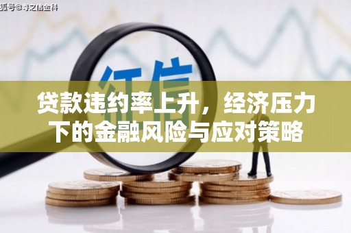 双河贷款违约率上升，经济压力下的金融风险与应对策略