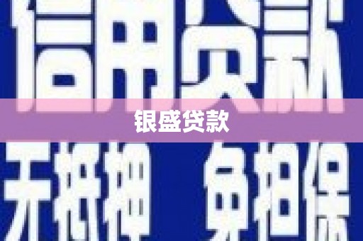 双河银盛贷款