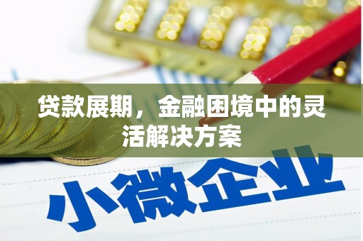 双河贷款展期，金融困境中的灵活解决方案