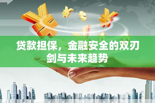 双河贷款担保，金融安全的双刃剑与未来趋势