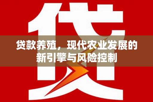 双河贷款养殖，现代农业发展的新引擎与风险控制