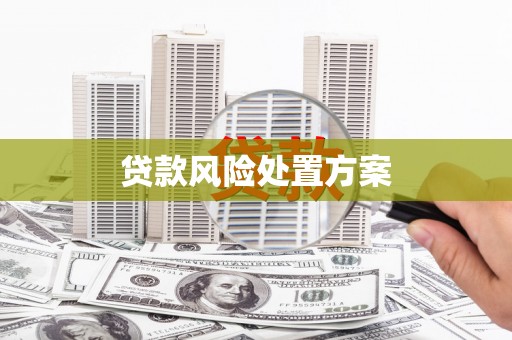 双河贷款风险处置方案