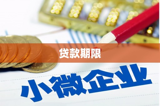 双河贷款期限