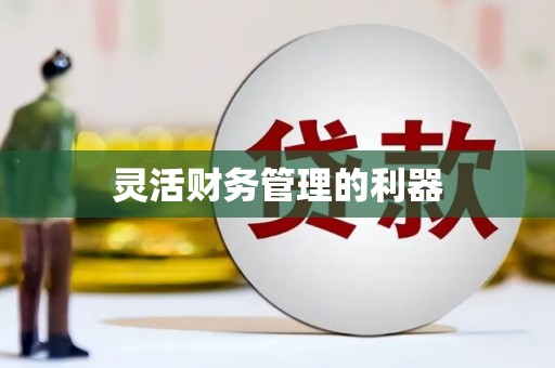 双河灵活财务管理的利器