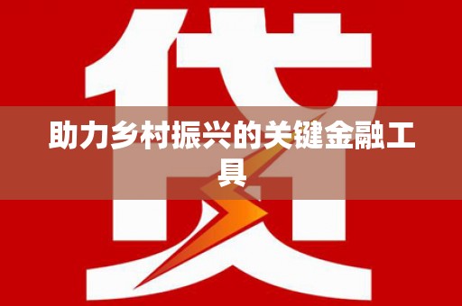 双河助力乡村振兴的关键金融工具