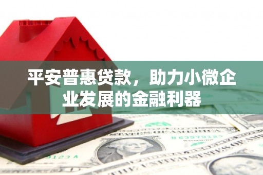 双河平安普惠贷款，助力小微企业发展的金融利器