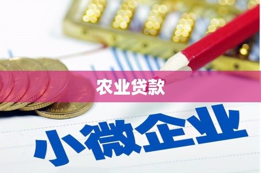 双河农业贷款