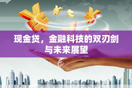 双河现金贷，金融科技的双刃剑与未来展望