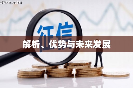 双河解析、优势与未来发展