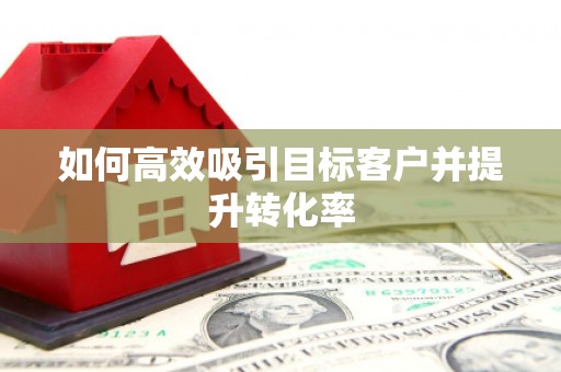 双河如何高效吸引目标客户并提升转化率