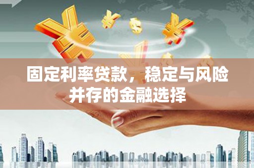 双河固定利率贷款，稳定与风险并存的金融选择