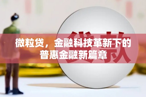 双河微粒贷，金融科技革新下的普惠金融新篇章