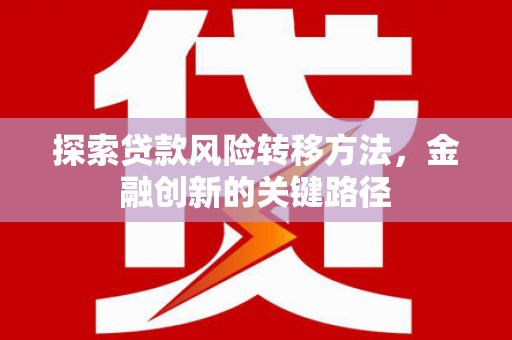 双河探索贷款风险转移方法，金融创新的关键路径