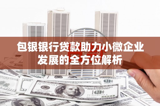 双河包银银行贷款助力小微企业发展的全方位解析