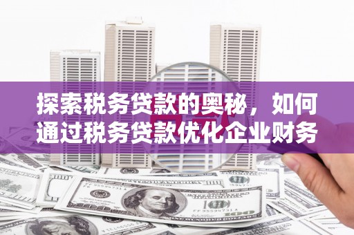 双河探索税务贷款的奥秘，如何通过税务贷款优化企业财务