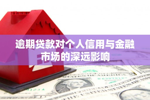 双河逾期贷款对个人信用与金融市场的深远影响