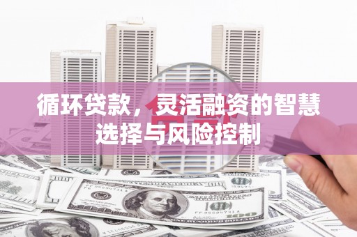 双河循环贷款，灵活融资的智慧选择与风险控制