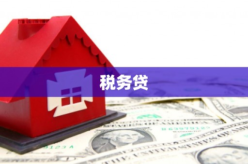 双河税务贷