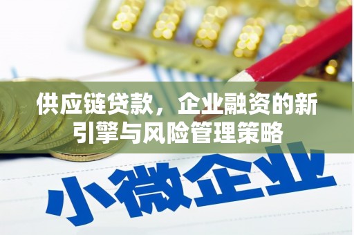 双河供应链贷款，企业融资的新引擎与风险管理策略