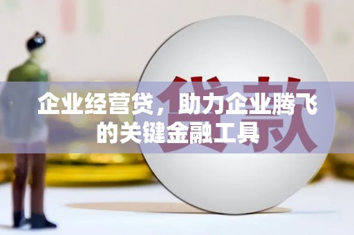 双河企业经营贷，助力企业腾飞的关键金融工具