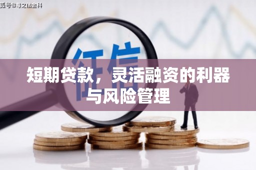 双河短期贷款，灵活融资的利器与风险管理