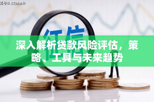 双河深入解析贷款风险评估，策略、工具与未来趋势